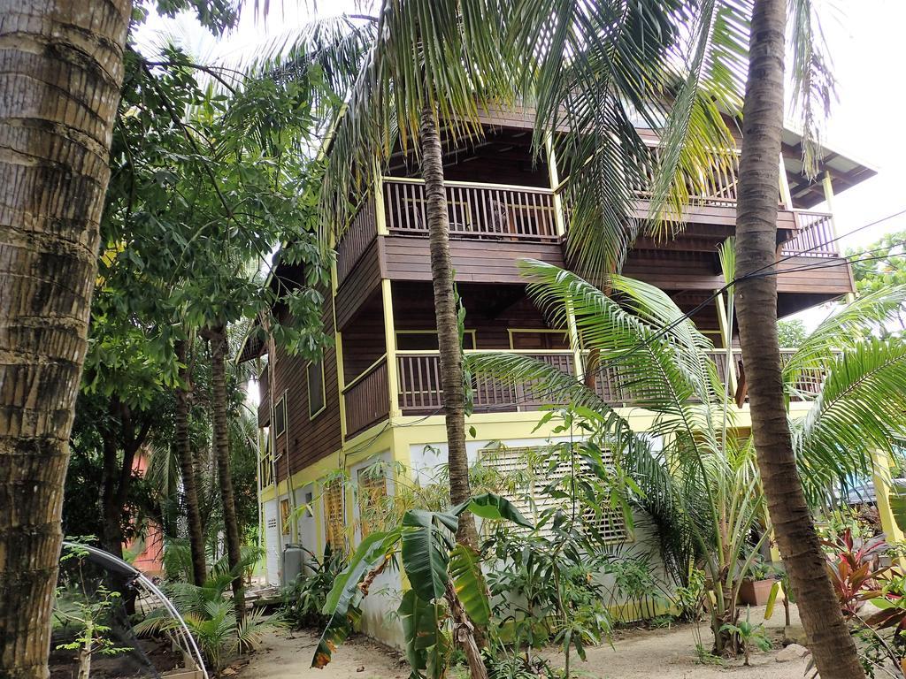 Driftwood Gardens Guesthouse Placencia Екстериор снимка